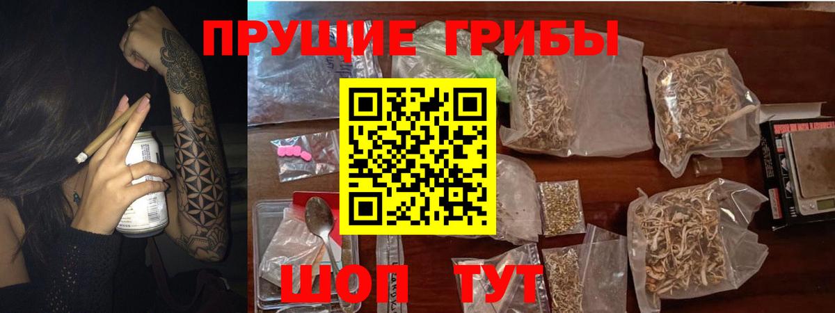 Галлюциногенные грибы прущие грибы  Вход с VPN  как найти закладки  Тайшет 